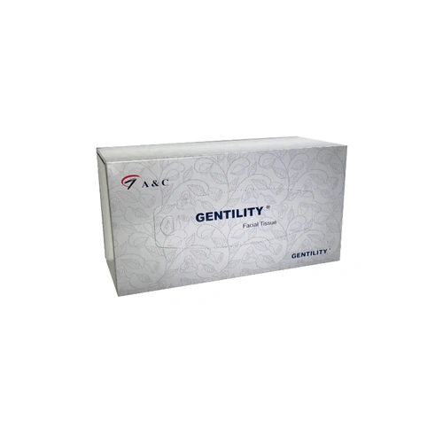 GENTILITY Facial Tissue Premium 2Ply 200 Sheets Single Box